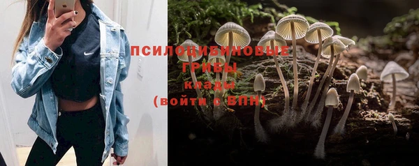 гашиш Баксан